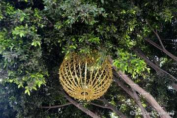 Alumbrado navideño de la plaza de San Juan (Foto TA)